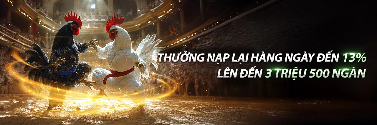 Sân vận động g888 casino với các trận đấu thể thao sôi động